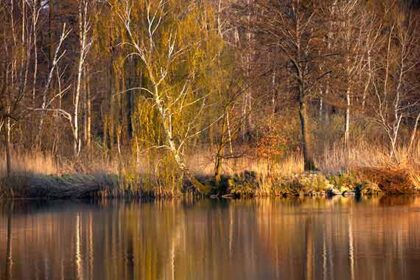 spiegelung-am-see Speigelung See