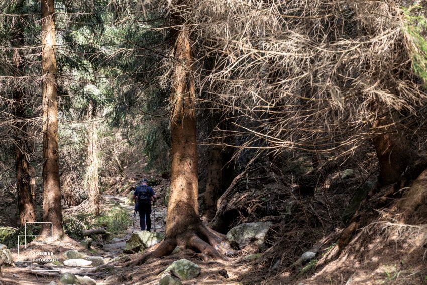 tour_2.4 urzelweg